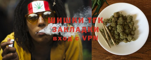 дмт Лабытнанги
