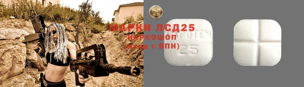 дмт Лабытнанги