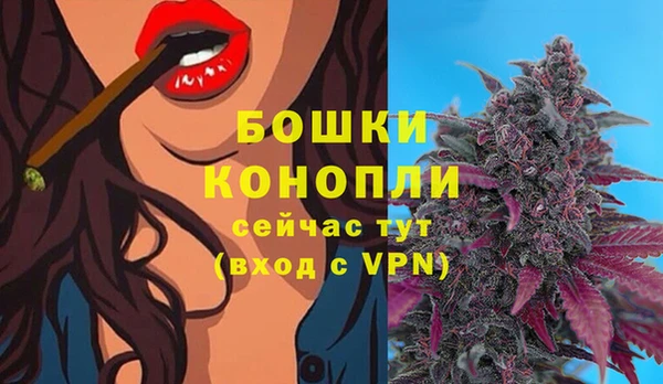 дмт Лабытнанги