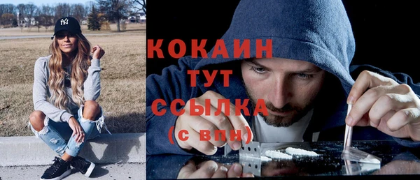 дмт Лабытнанги